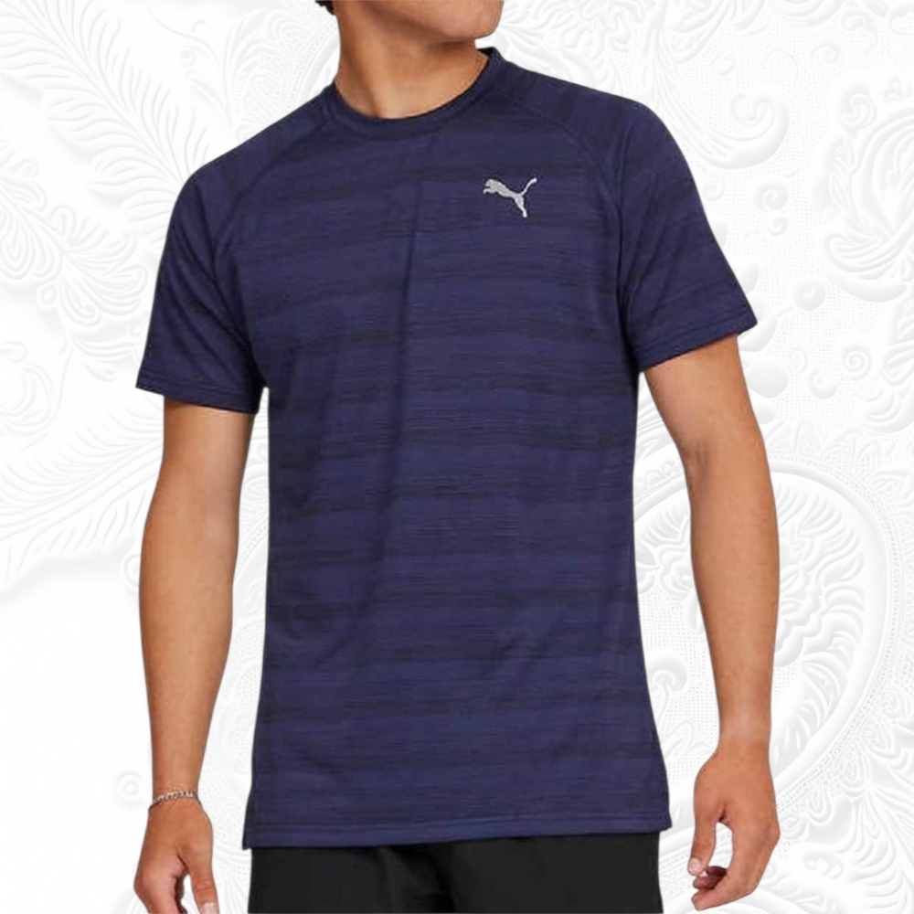 Puma Men's Blue Dri-fit T-Shirt
